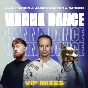 Alle Farben的專輯Wanna Dance (VIP Mixes)