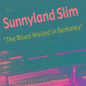 ดาวน์โหลดและฟังเพลง Sunny's Jump พร้อมเนื้อเพลงจาก Albert "Sunnyland Slim" Luandrew
