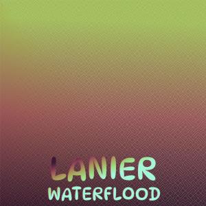 Album Lanier Waterflood from Various