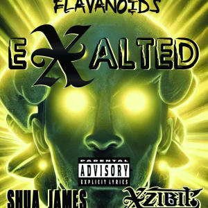 Album eXalted (feat. Xzibit & Shua James) (Explicit) from Flavanoids
