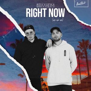 ดาวน์โหลดและฟังเพลง Right Now (Na Na Na) พร้อมเนื้อเพลงจาก Braaheim