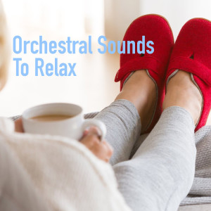 ดาวน์โหลดและฟังเพลง Everything I Do พร้อมเนื้อเพลงจาก Royal Philharmonic Orchestra