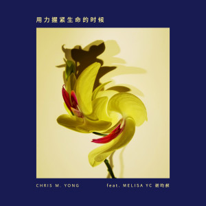 Listen to 用力握紧生命的时候 song with lyrics from Chris M. Yong