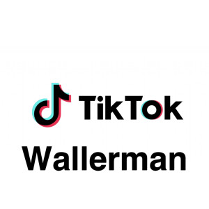 Listen to Wellerman (Best Version) song with lyrics from Dance Challenge