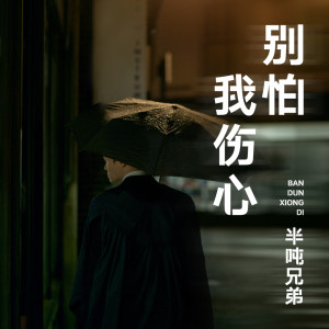 ดาวน์โหลดและฟังเพลง 别怕我伤心 (伴奏) พร้อมเนื้อเพลงจาก 半吨兄弟