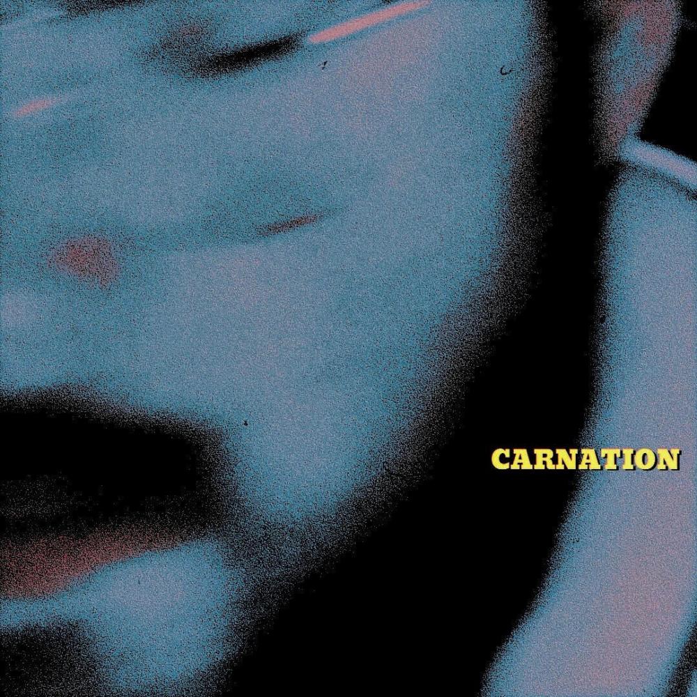 carnation