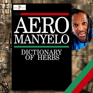 Dengarkan lagu Im Losing My Mind nyanyian Aero Manyelo dengan lirik