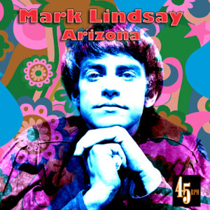 ดาวน์โหลดและฟังเพลง Arizona (Re-Recorded / Remastered) (Re-Recorded|Remastered) พร้อมเนื้อเพลงจาก Mark Lindsay
