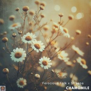 Listen to Chamomile song with lyrics from Ferocious Folk