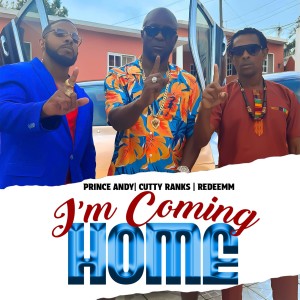 ดาวน์โหลดและฟังเพลง I'm Coming Home พร้อมเนื้อเพลงจาก Prince Andy