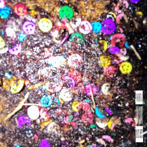 DRAKOBE的專輯DI$gU$TINGLYDI$TINGUI$HED (feat. LPG1DOTT) [Explicit]