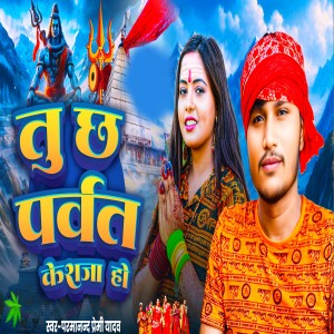 收聽Parmanand Premi Yadav的Tu Chh Parvat Ke Raja Ho歌詞歌曲