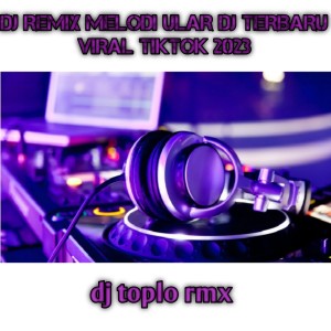 Album REMIX MELODI ULAR TERBARU VIRAL TIKTOK 2023 oleh Dj Toplo Rmx