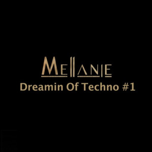 Listen to Dreamin of Techno #1 Mellanie song with lyrics from Mellanie