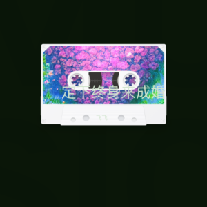 Listen to 定下终身来成婚 (完整版) song with lyrics from 飞飞