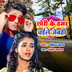 Listen to Chhori Ke Hamar Chaaile Jebahi song with lyrics from Vipin Yadav