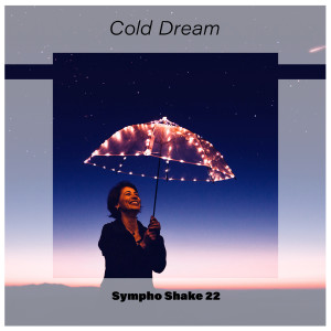 Various Artists的专辑Cold Dream Sympho Shake 22