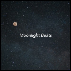 Album Moonlight Beats from lofichill