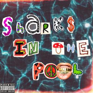 UrbanZayy的專輯Sharks In The Pool (Explicit)