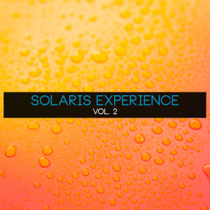 Various Artists的專輯Solarsiv Experience, Vol. 2