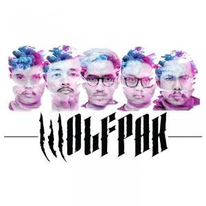 Listen to Hall of Shame song with lyrics from Wolfpak
