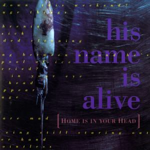 ดาวน์โหลดและฟังเพลง The Phoenix, A Pool Of Ice พร้อมเนื้อเพลงจาก His Name Is Alive