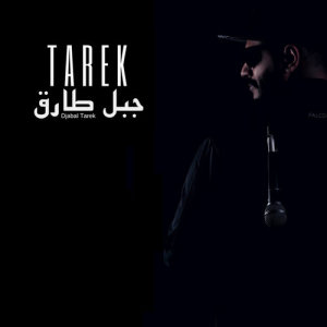 ดาวน์โหลดและฟังเพลง Work Hard (Instrumental) พร้อมเนื้อเพลงจาก Tarek