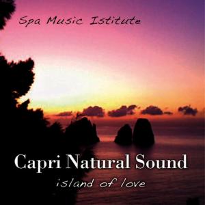 ดาวน์โหลดและฟังเพลง Villa San Michele พร้อมเนื้อเพลงจาก Spa Music Institute