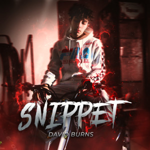 Album Snippet (Explicit) from David Burns