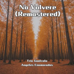 Album No Volvere (Remastered) from Trio Gualcala