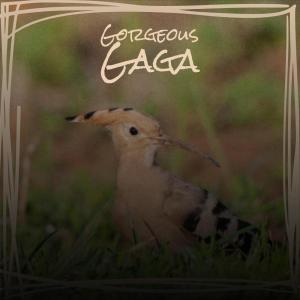 Listen to Gorgeous Gaga song with lyrics from Marsel Dham
