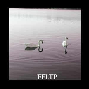 ดาวน์โหลดและฟังเพลง Yellow Bird พร้อมเนื้อเพลงจาก FFLTP