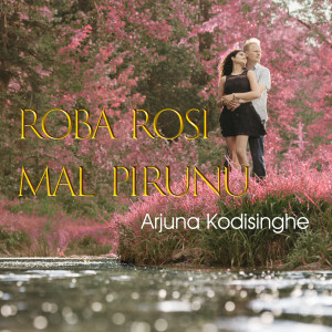 Album Roba Rosi Mal Pirunu from 
