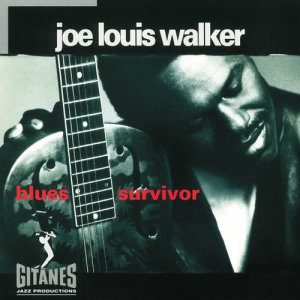 ดาวน์โหลดและฟังเพลง My Dignity (Album Version) พร้อมเนื้อเพลงจาก Joe Louis Walker
