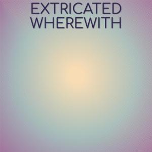 Various Artists的專輯Extricated Wherewith