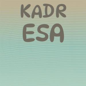 Listen to Pretty Homunculi song with lyrics from Stad Fredi