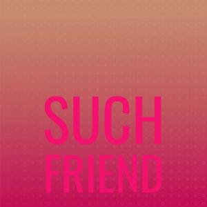 Various的专辑Such Friend