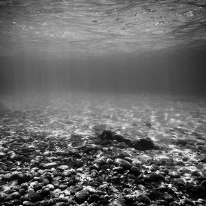 Undersea dari Francesco Nigri