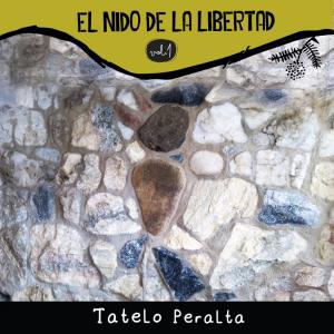 Listen to Jilguerín (feat. Iván Hidalgo & Maxi Lezcano) song with lyrics from Tatelo Peralta
