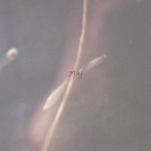 อัลบัม 걱정 ศิลปิน Han Heejung
