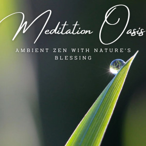 Listen to Rain's Healing Meditation song with lyrics from Calm Sleep Rain Sound