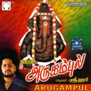 收聽Srihari的Thangamani Pillaiyaaru [Language: Tamil; Genre: Ganesha]歌詞歌曲