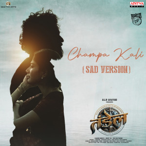 อัลบัม Champa kali - Sad Version (From "Thandel - Hindi") ศิลปิน Devi Sri Prasad