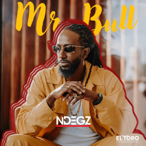 Listen to Loving You song with lyrics from Ndegz