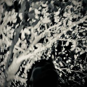 收聽Sunset.Exe的Pool Life歌詞歌曲