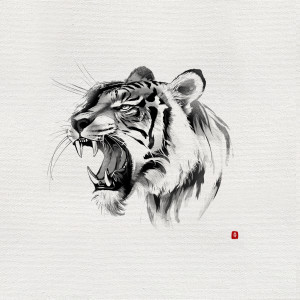 Album KOREAN TIGER from C.Swag