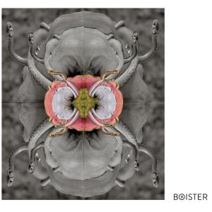 收聽Boister的Goddess of the Baltimore in Your Mind歌詞歌曲