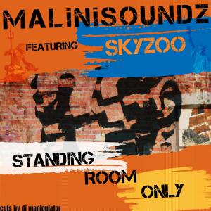 Standing Room Only (feat. Skyzoo) (Explicit)