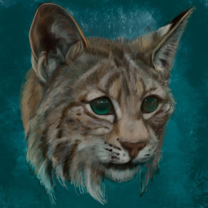 Listen to Angels (Explicit) song with lyrics from Bobcat
