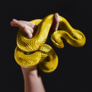 อัลบัม false gold (Remixes) ศิลปิน Karin Ann